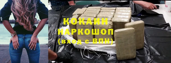 spice Алзамай