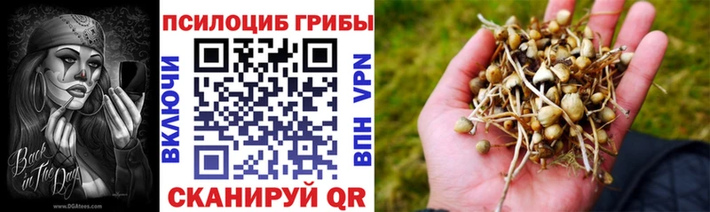 Галлюциногенные грибы прущие грибы Болгар