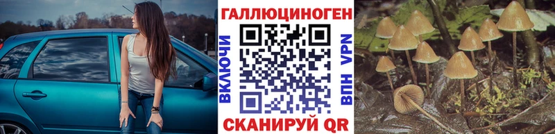 blacksprut сайт  Болгар  Псилоцибиновые грибы GOLDEN TEACHER 